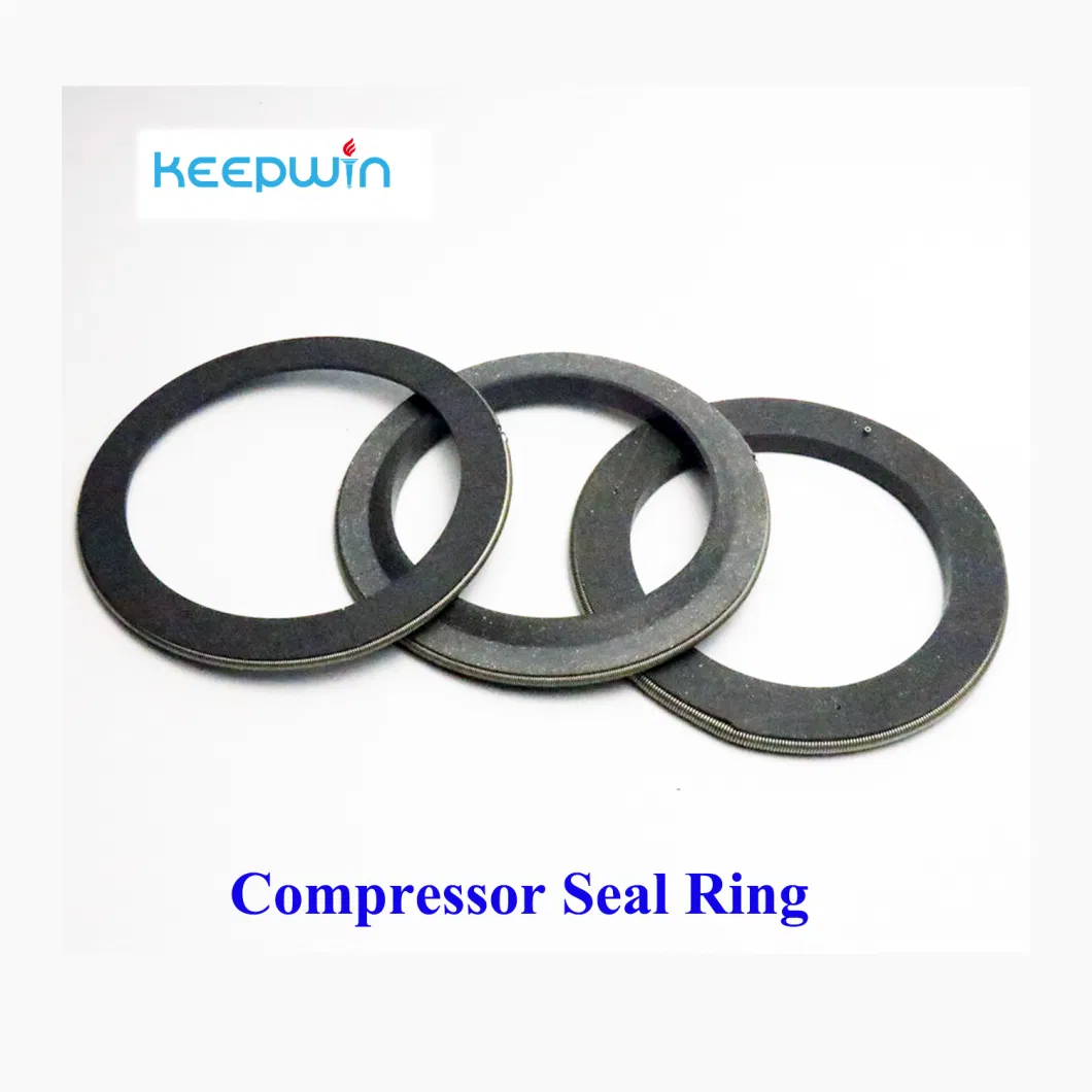 PTFE Oil Seal Ring Pressure Seal Ring Gasket for Process Reciprocating Piston Compressor