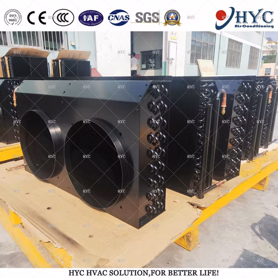 Condensatore evaporatore scambiatore di calore raffreddato ad aria CA commerciale Ex